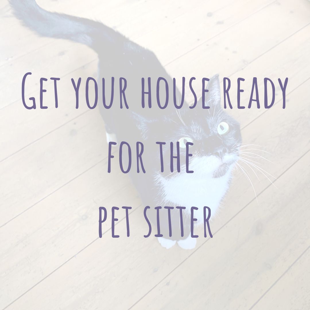 Pet sitter tips